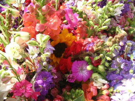 [flowers6-12-06-2.jpg]