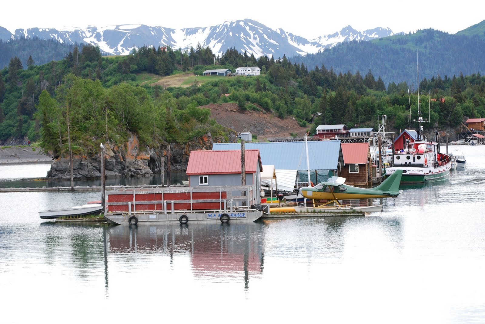 Life Lived Out Loud Homer and Halibut Cove—Alaskan Treasures