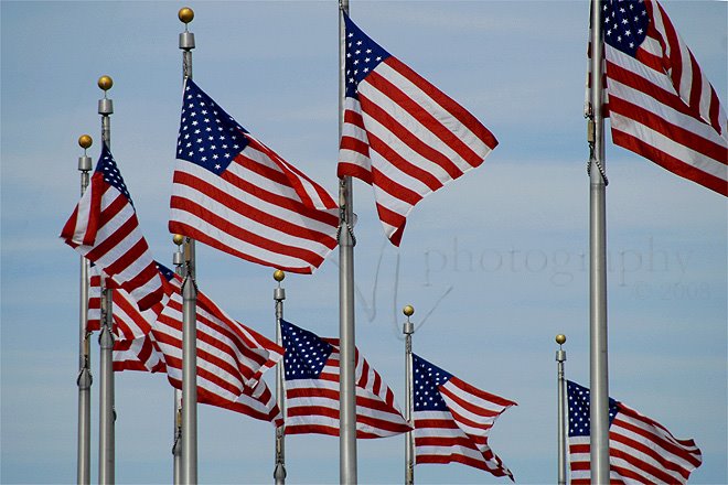 [flags2.jpg]