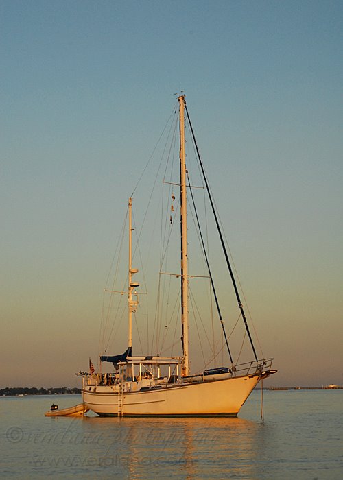 [chesapeake2.jpg]