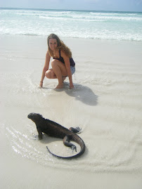 Tortuga Bay with a Marine Iguana