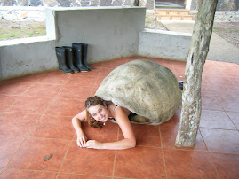 Me as a giant tortoise