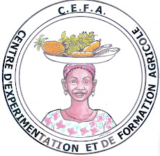 CEFA-Central African Republic