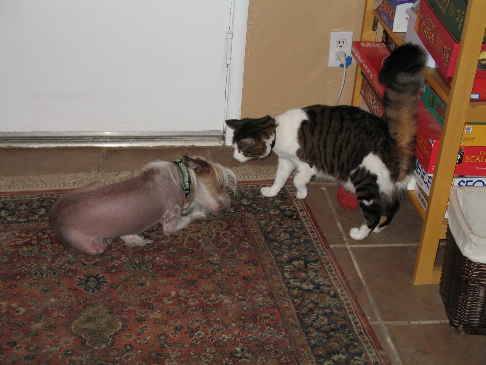 [Need+to+be+sorted+316.JPG]