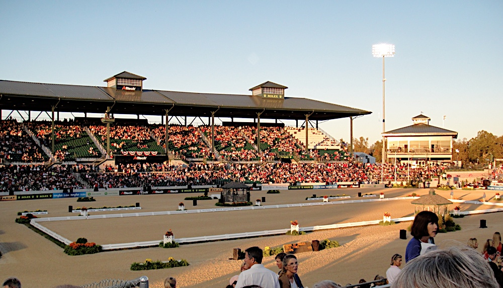 World Equestrian Games Work in Progress.