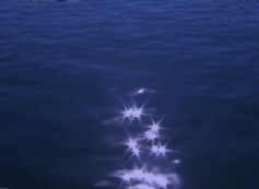 Mar y estrellas