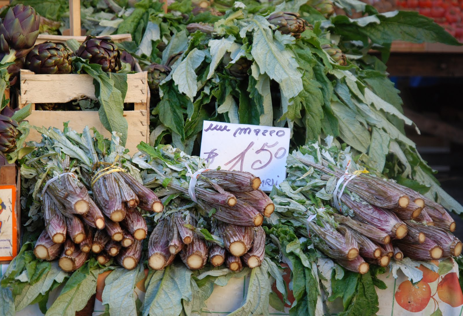 CARDOONS, What are they? (Cardoni or Cardi in Italian) | All Things ...