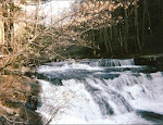 The Falls