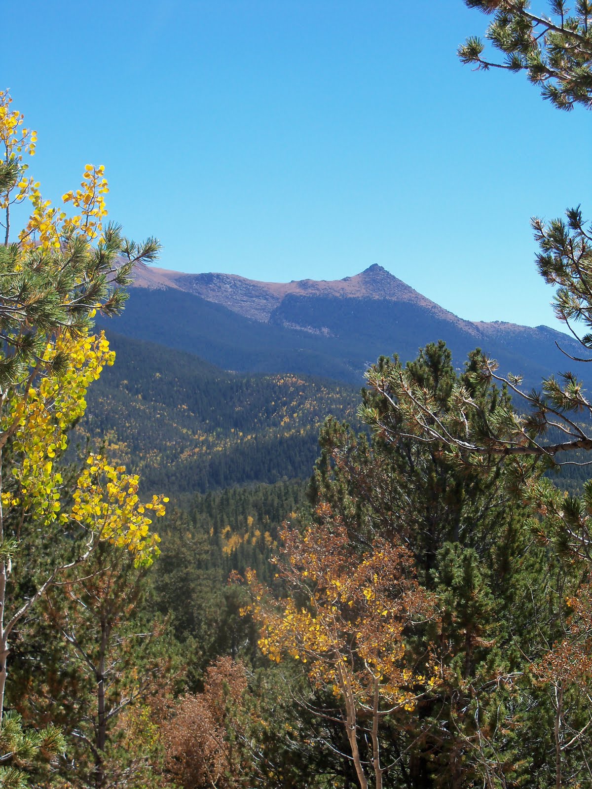 Trail and Park Reviews: Fall colors are nearing their peak in the Rocky ...
