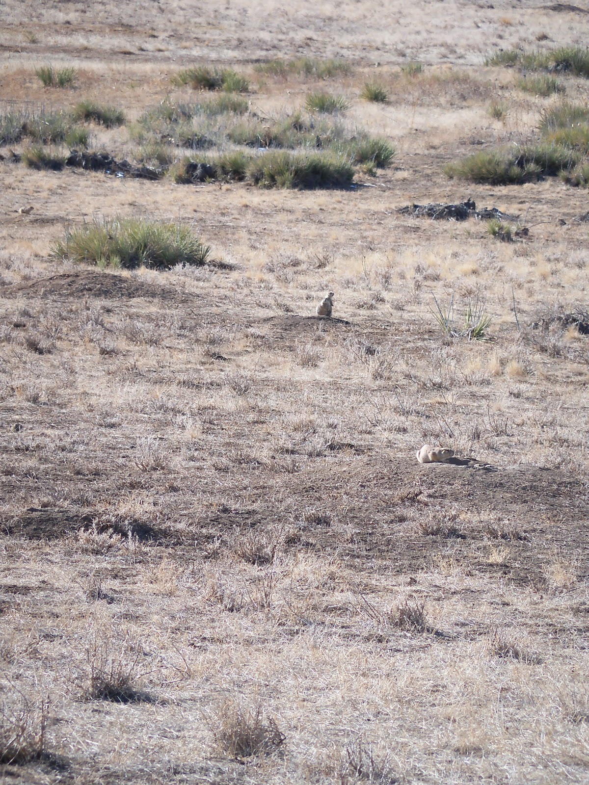 Trail and Park Reviews Hildebrand Ranch Park a new park in Jefferson
