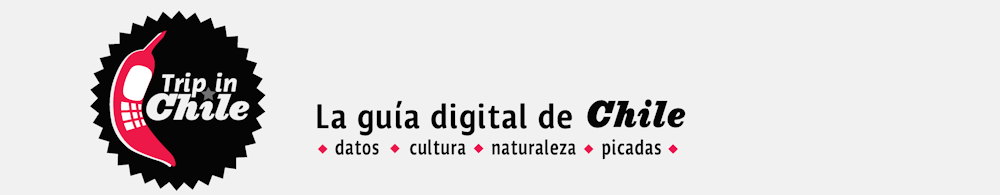 www.tripinchile.cl