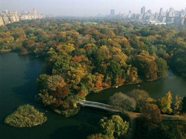 Central park,New York new york central park wallpaper. Central park,New York