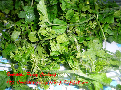 Talbos ng Ampalaya - Bitter Melon Tendrils Talbos ng Ampalaya - Bitter Melon Tendrils