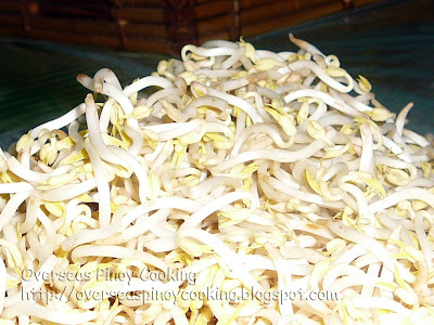 Pinoy Style Pad Thai - Mung Beans Sprout