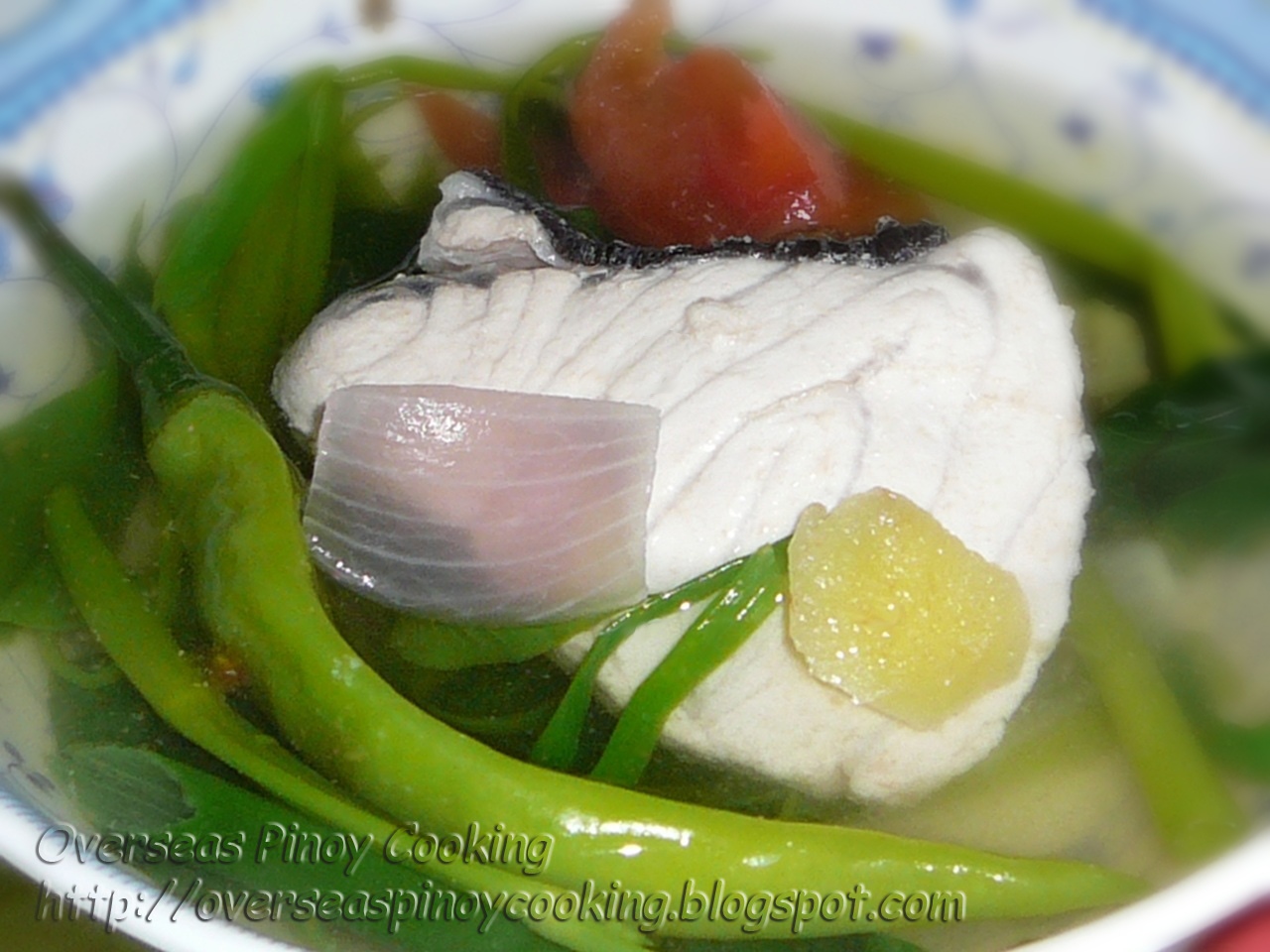 Pinoy Home Cooking and Recipes: Sinigang na Malasugi sa Kamatis