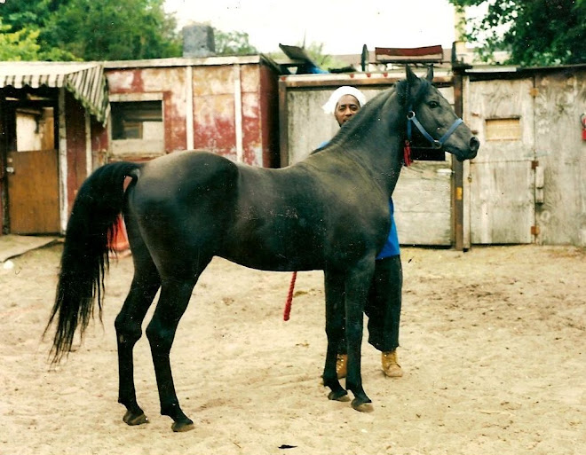 Banu Sanhadja Arabs