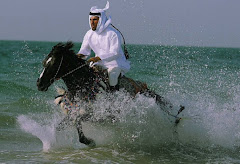 Banu Sanhadja Arabs