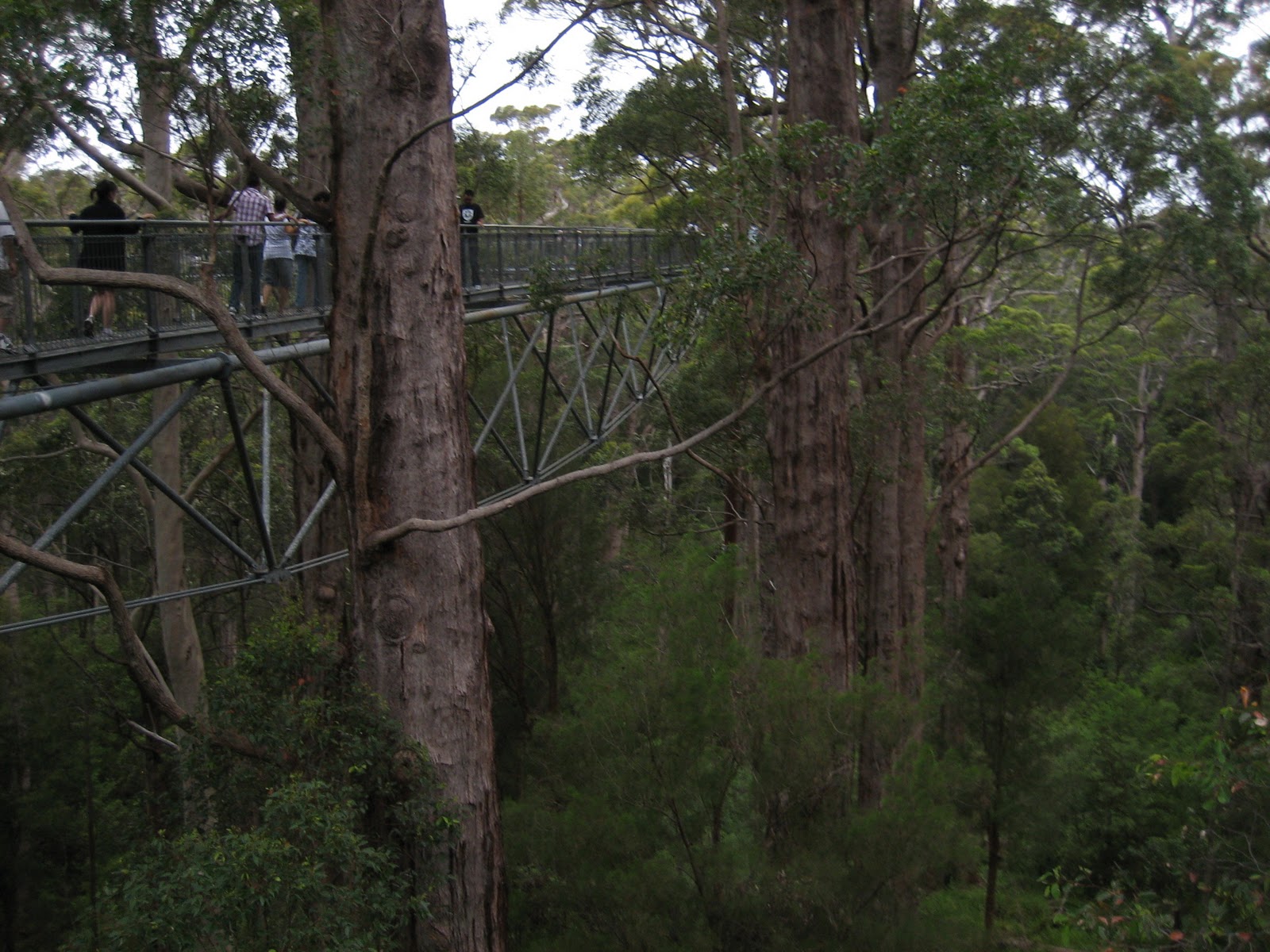 sound and vision Valley of the giants