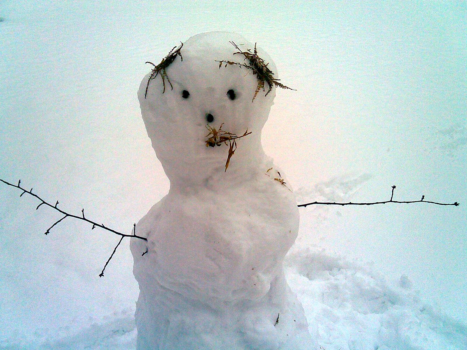 http://2.bp.blogspot.com/_KDvzKXcML4E/TSJnVFmlbtI/AAAAAAAAEGM/M38MYZaeiYU/s1600/snowman.jpg