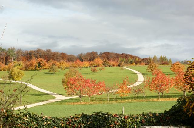 Mit offenen Augen durch den Alltag Kirche und Kirschbäume in