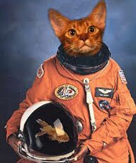 Space LOLCat