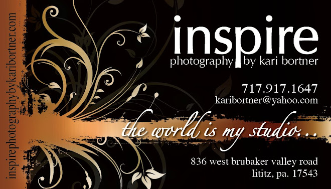 inspire~kari bortner