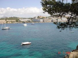 Navegant prop del port