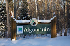 Gate to Algonquin Park In Winter