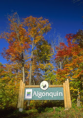 algonquin park entrance fall