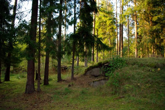 [Rudninku+Forest+23.9.08+(6).JPG]