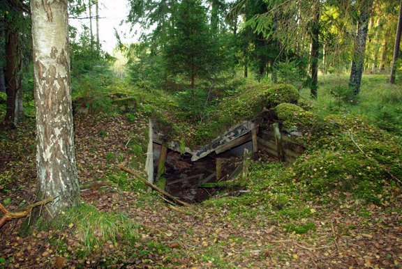 [Rudninku+Forest+23.9.08+(16).JPG]