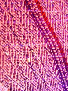 Lise Stahl Brown, Textile Arts
