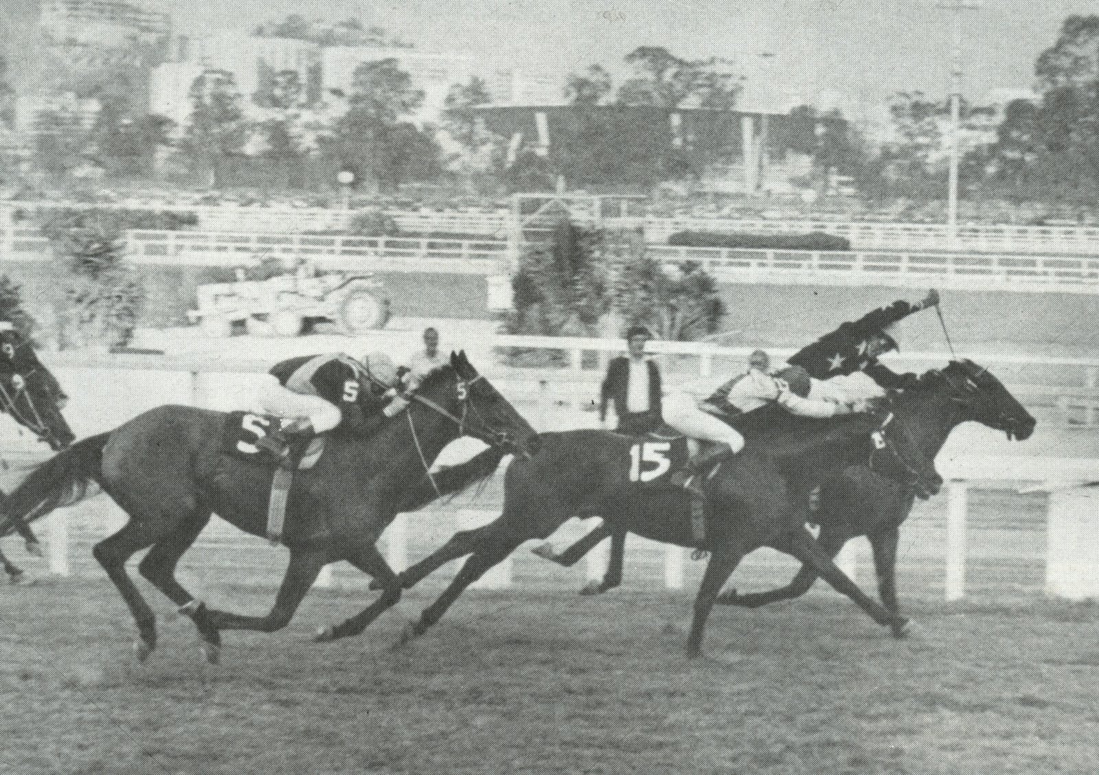 Rita Turfe GRANDE PREMIO BRASIL 1981 CAMPAL