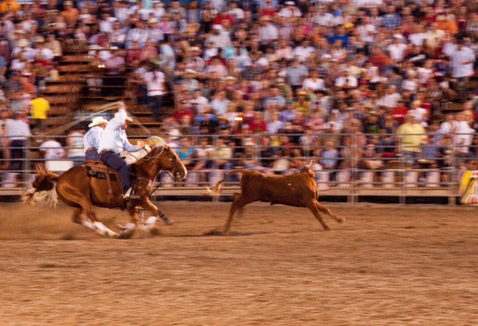 My Musings: Rodeo Season