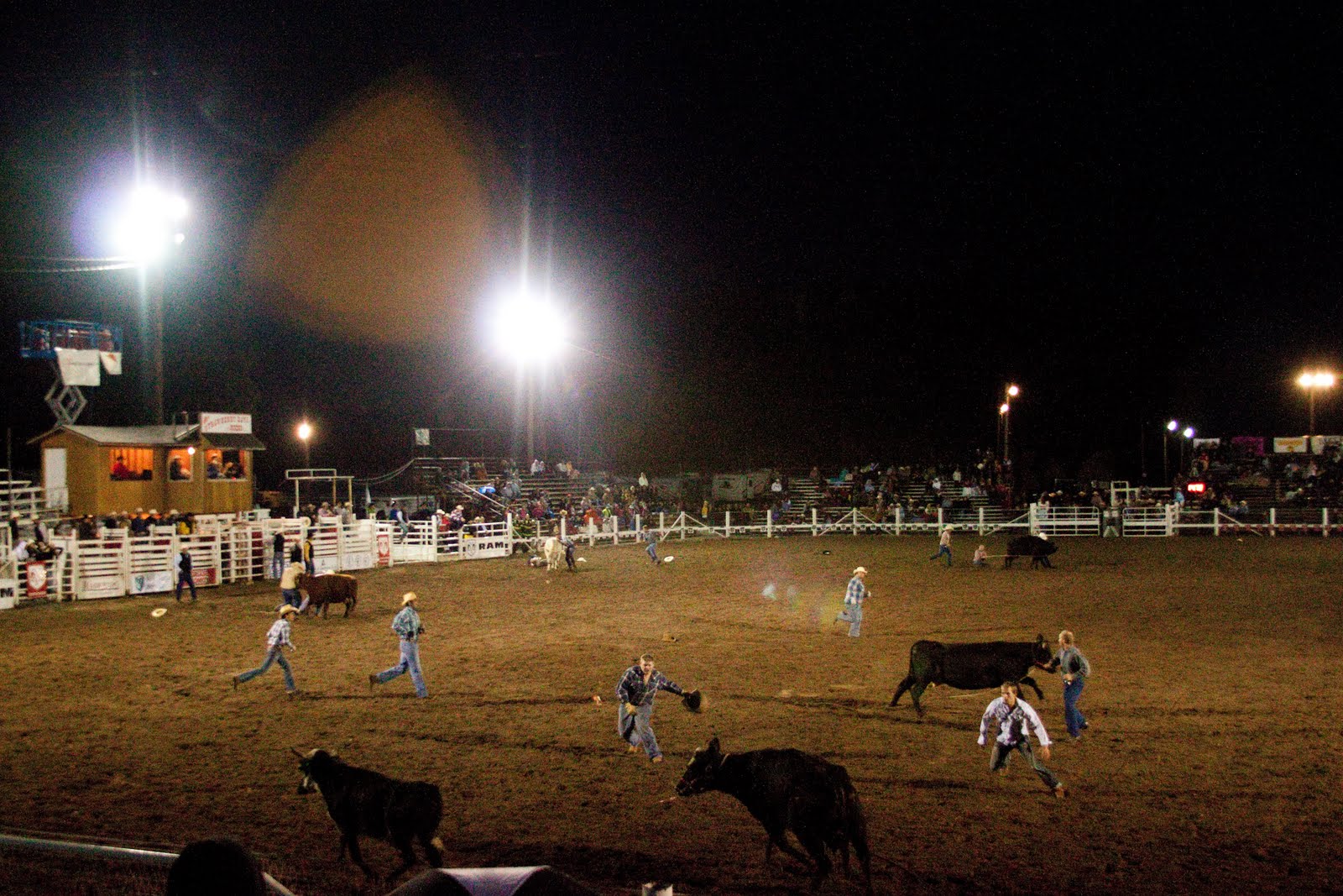 My Musings: Rodeo Season