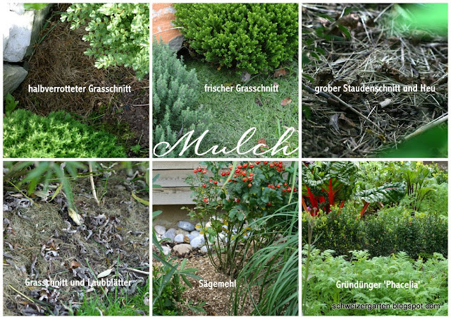 Ein Schweizer Garten: Was ich immer wieder gefragt werde...