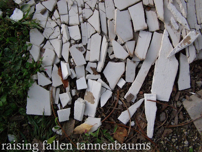 raising fallen tannenbaums