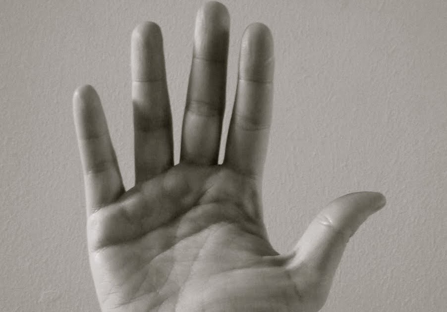 Cortar Por La Linea De Puntos plan para hoy (y hombre para mañana): Cortar por la línea de puntos