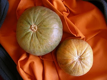 le mie zucche coltivate sul mio terrazzo