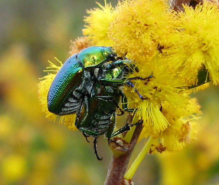 Tips On How To Lose Weight Strolling