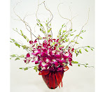 Orchids Arrangement