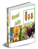 Sejarah Royal Jelly