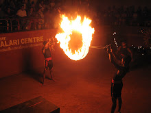 Spectacle de Kalarippayattu