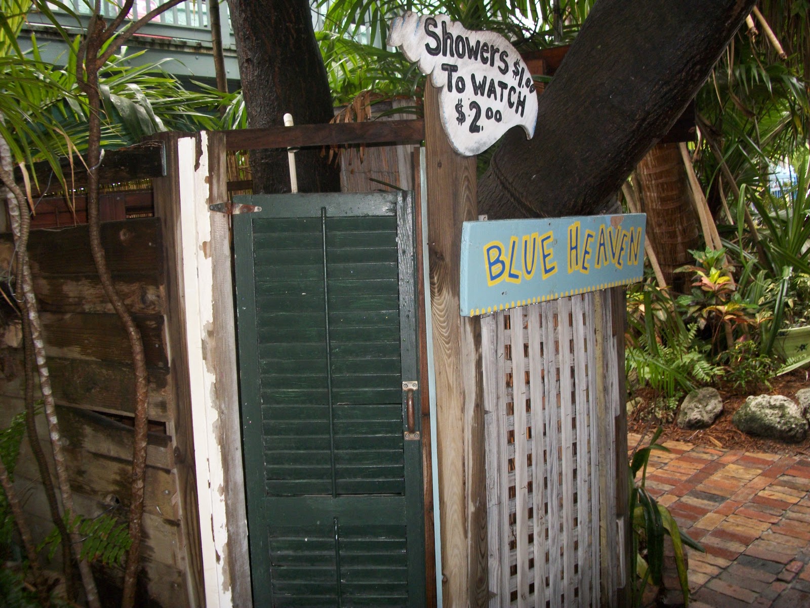 There's a place I dream about Drinking Key West