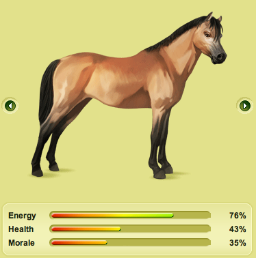 Ultimate Howrse 2010