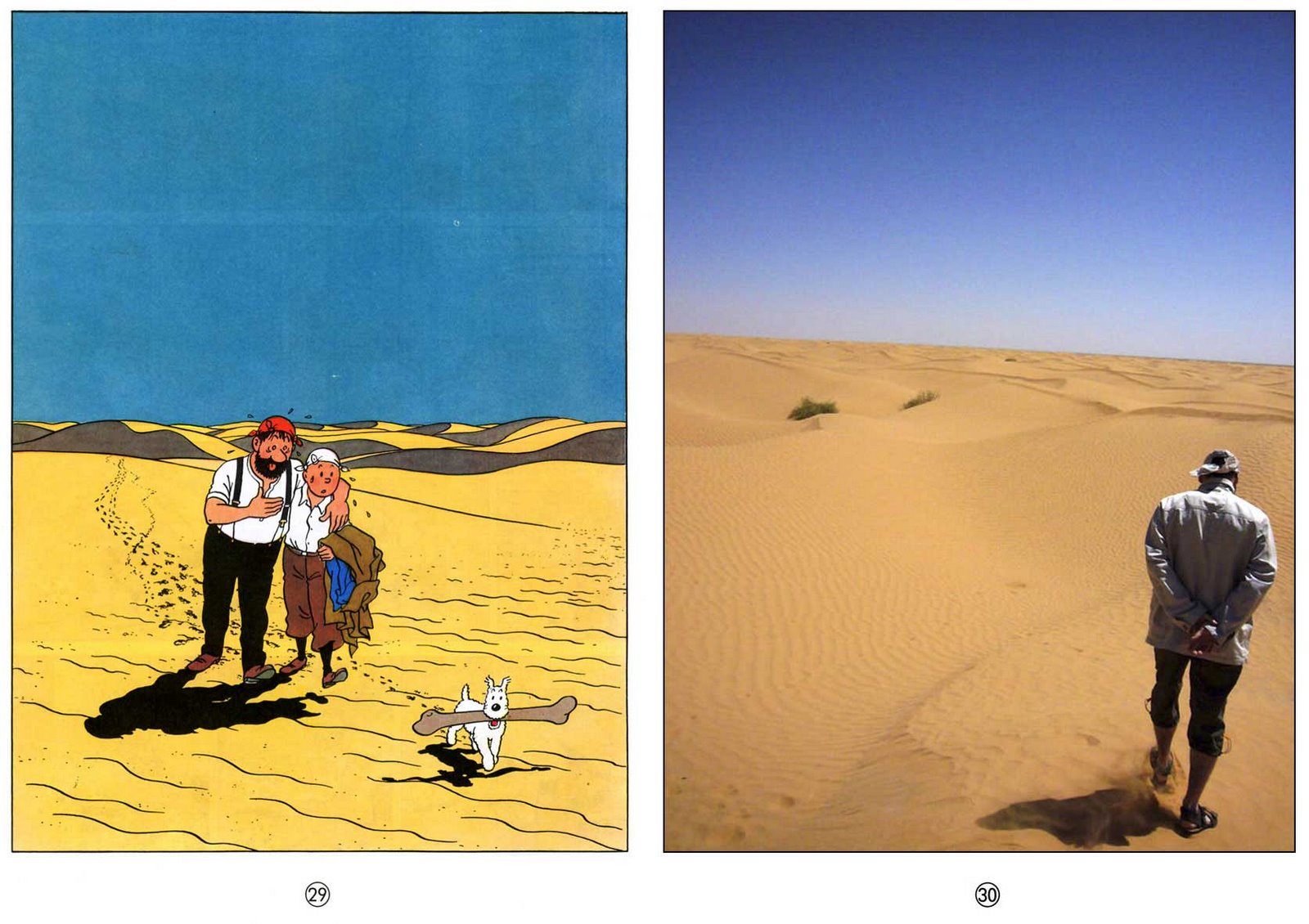 [milou-et-minou-2.jpg]