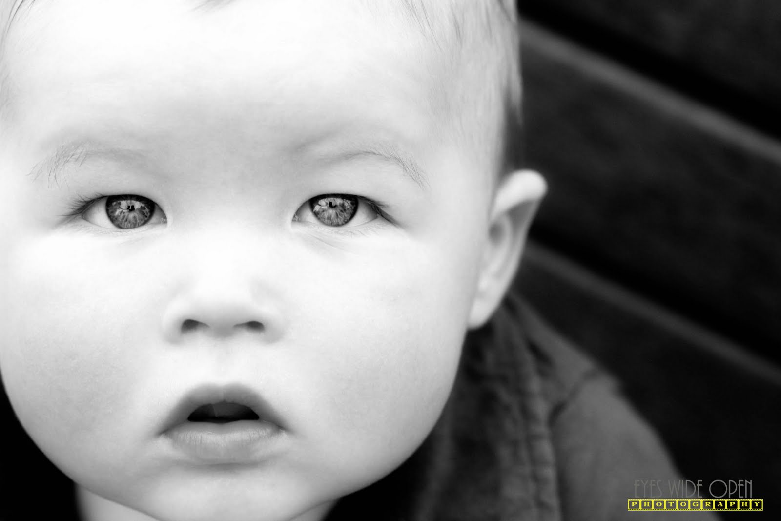 Eyes WideOpen Photography Utah Wedding Photographers hayden