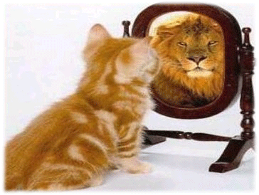 Fotografía de gato que se mira al espejo y se ve como un león