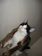My photo