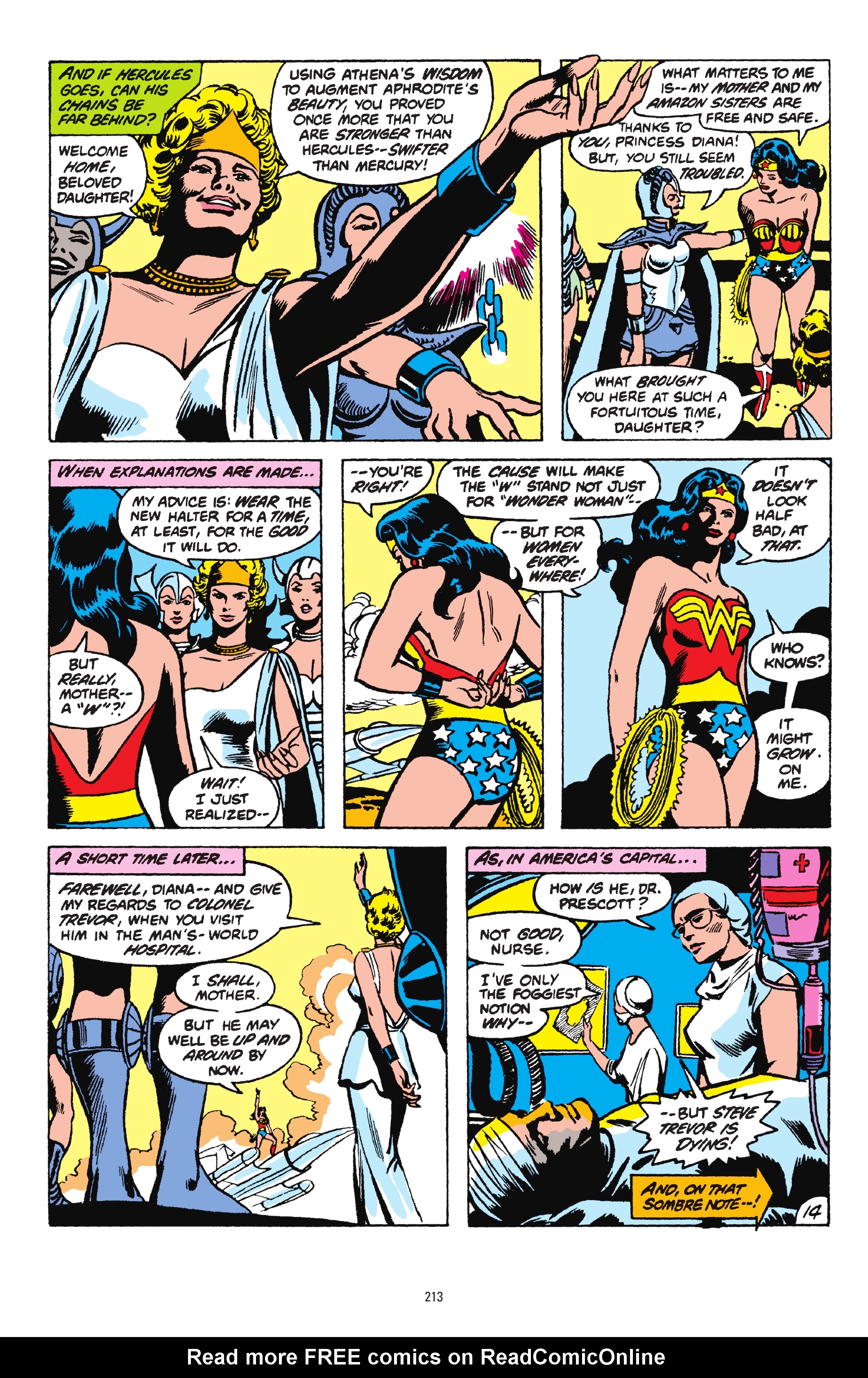 Read online Wonder Woman: 80 Years of the Amazon Warrior: The Deluxe Edition comic -  Issue # TPB (Part 3) - 13